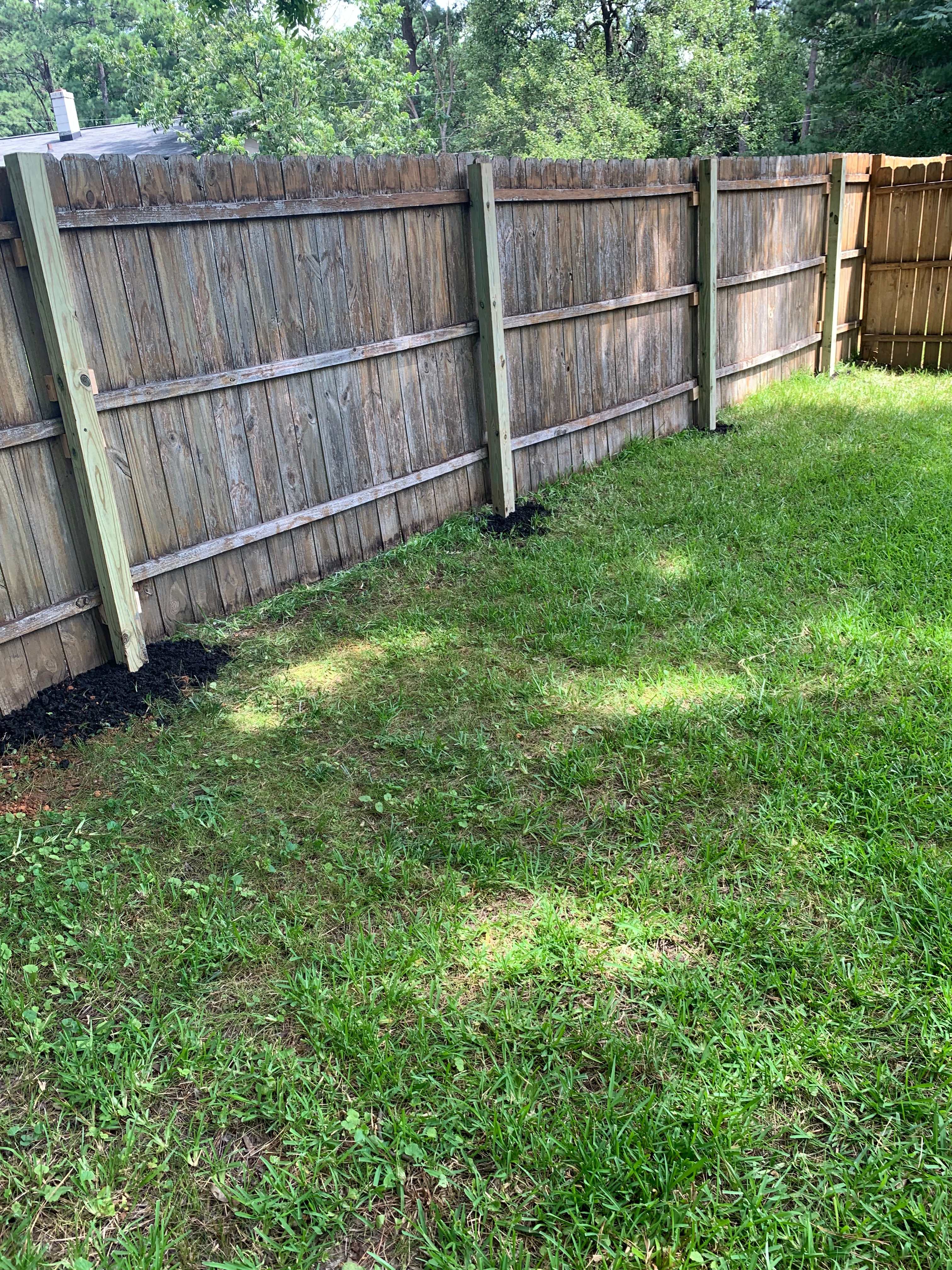 Fence with newly replaced pressure treated fence posts set in concrete.