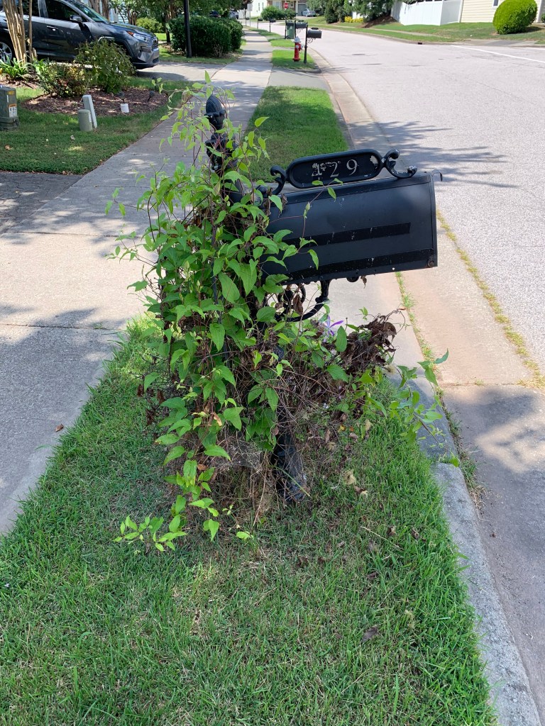 HOA required mailbox in Morrisville to be maintained.
