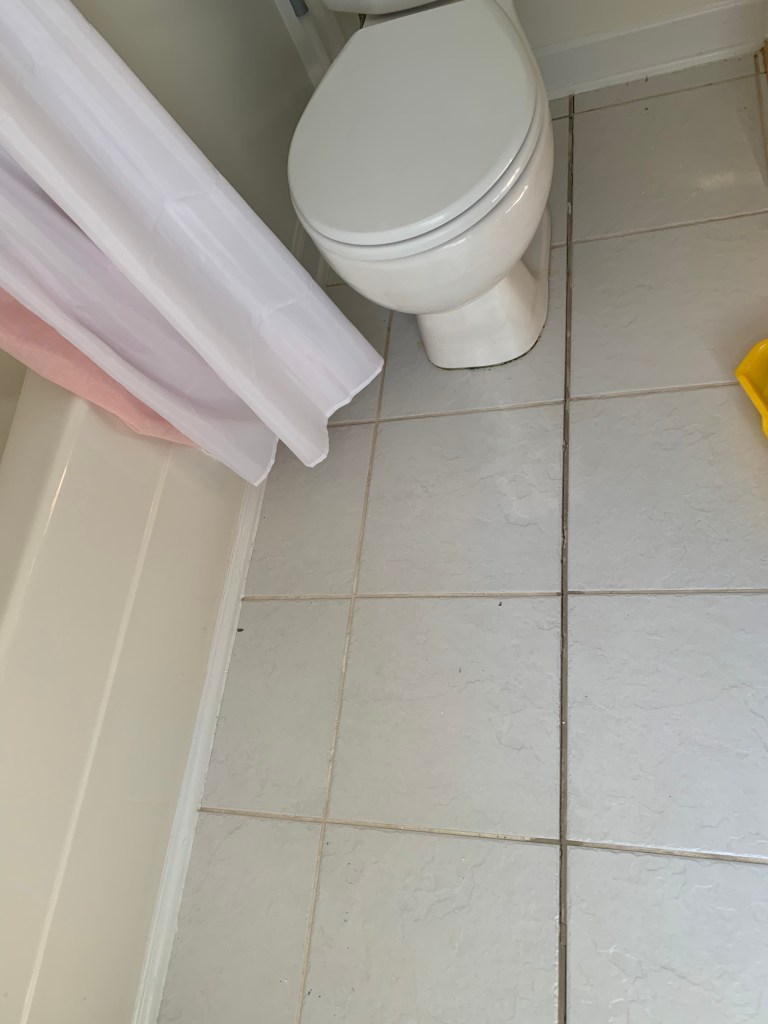 Realtor had punch list to get house ready for sale and wanted cracked tile grout repaired